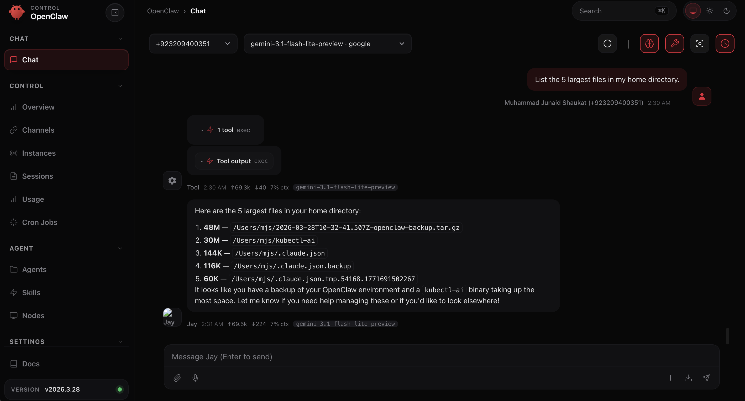 The OpenClaw dashboard showing a tool call. The "Exec" badge and "Tool output" section appear when the agent runs a command on your machine.